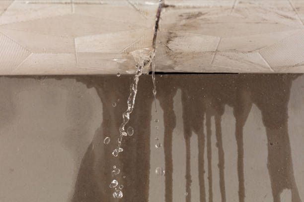 Professional Flood Damage Cleanup technician working in Tremont, PA